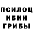 Галлюциногенные грибы ЛСД Michelle Emmett