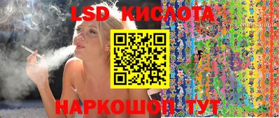 эйфоретик Кимры