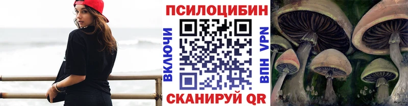 Псилоцибиновые грибы мицелий  Курчалой 