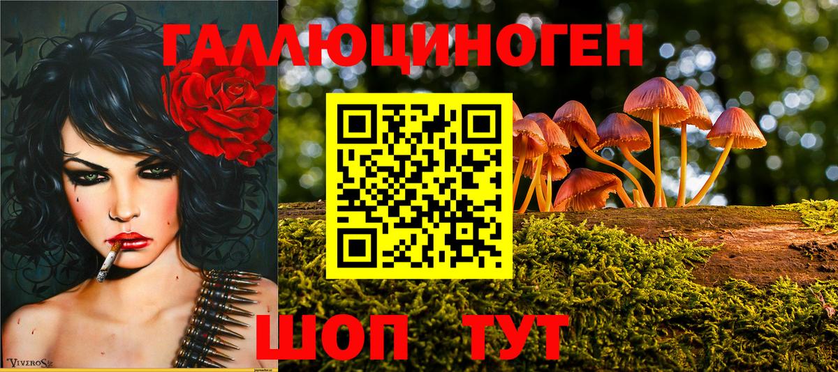Курчалой  Псилоцибиновые грибы ЛСД  Галлюциногенные грибы прущие грибы  Вход с VPN 